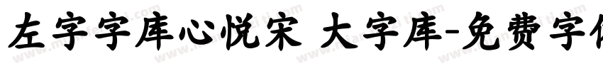 左字字库心悦宋 大字库字体转换